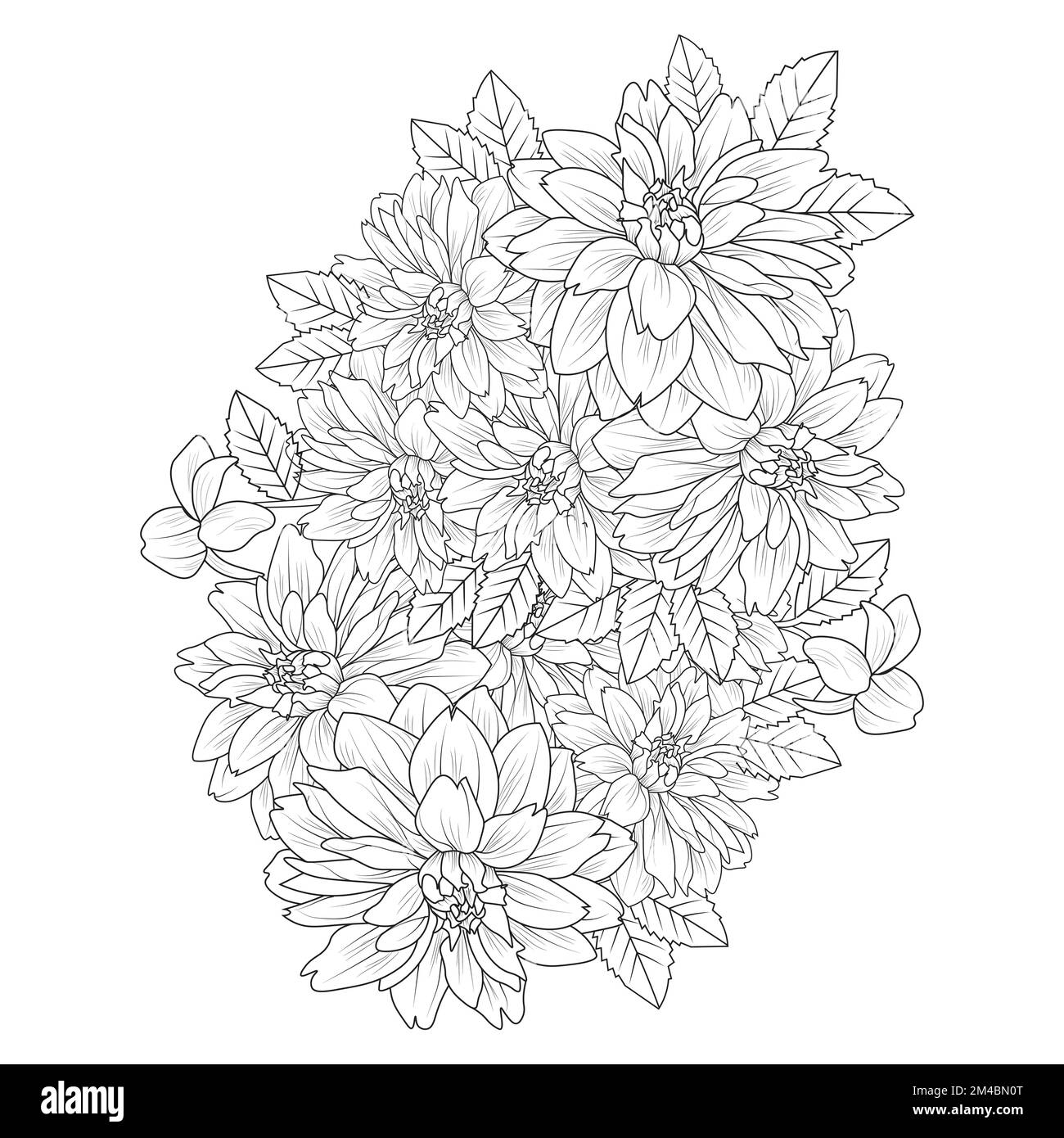 Garden dahlia flower illustration with pencil stroke in doodle art design of coloring page design stock vector image art