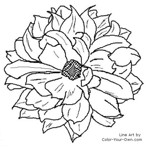 Dahlia flower coloring page