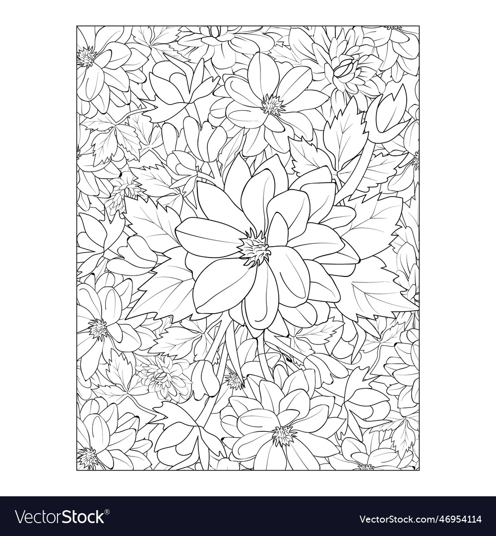 Blossom dahlia flower coloring page for adults vector image