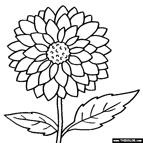 Dahlia flower online coloring page flower coloring sheets flower coloring pages coloring pages