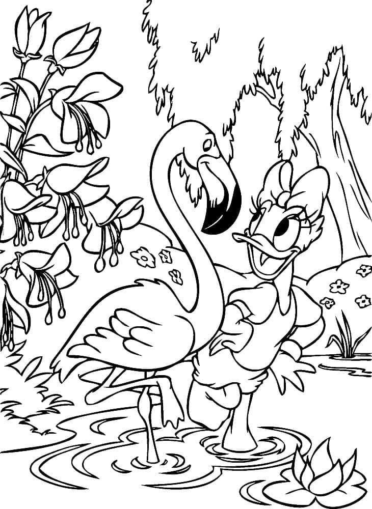 Flamingo and daisy duck coloring page