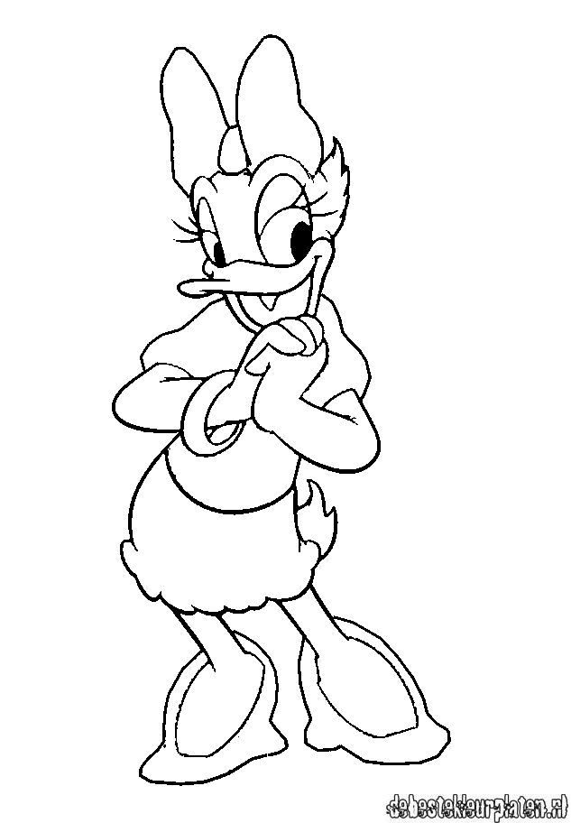 Daisyduck