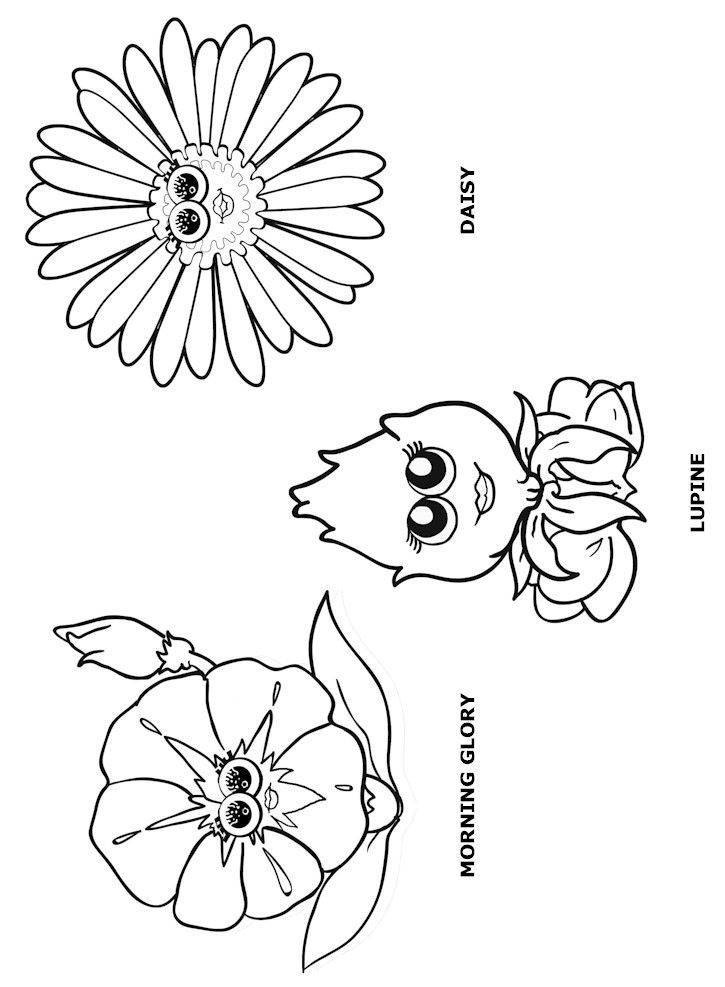 Wele to the daisy flower garden journey coloring pages