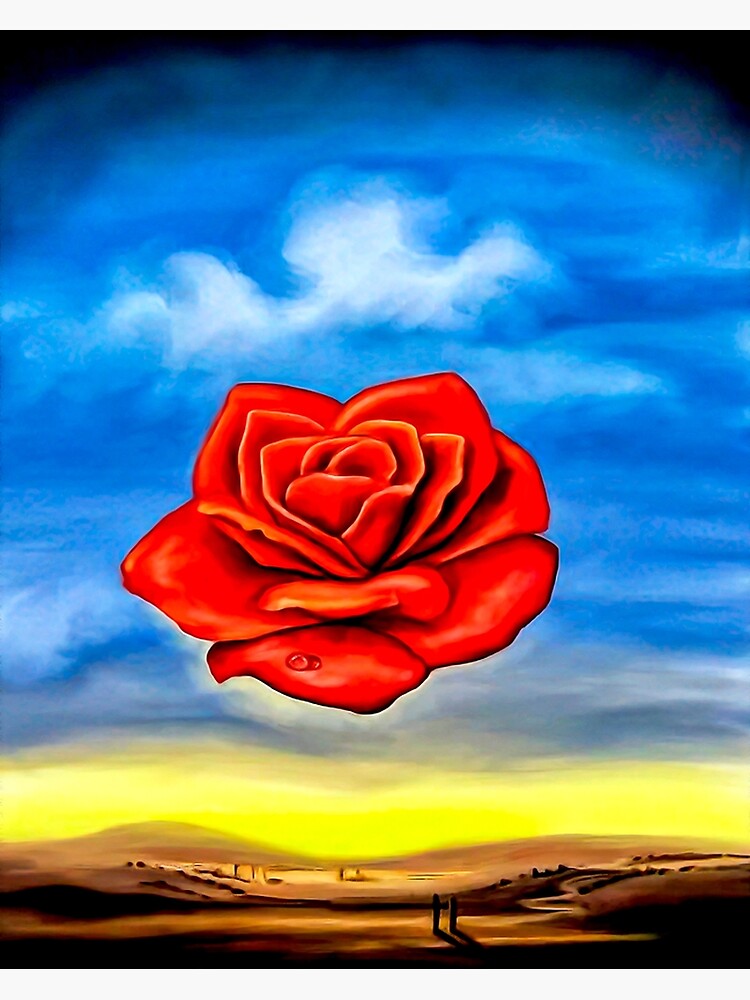 The meditative rose