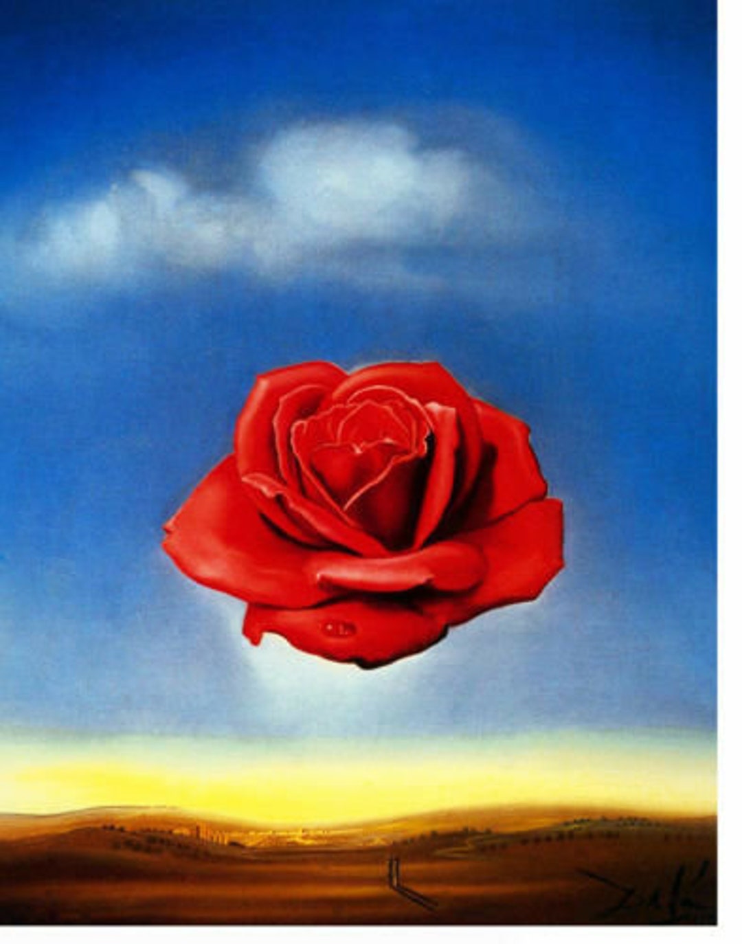Salvador dalã meditative rose x photo print