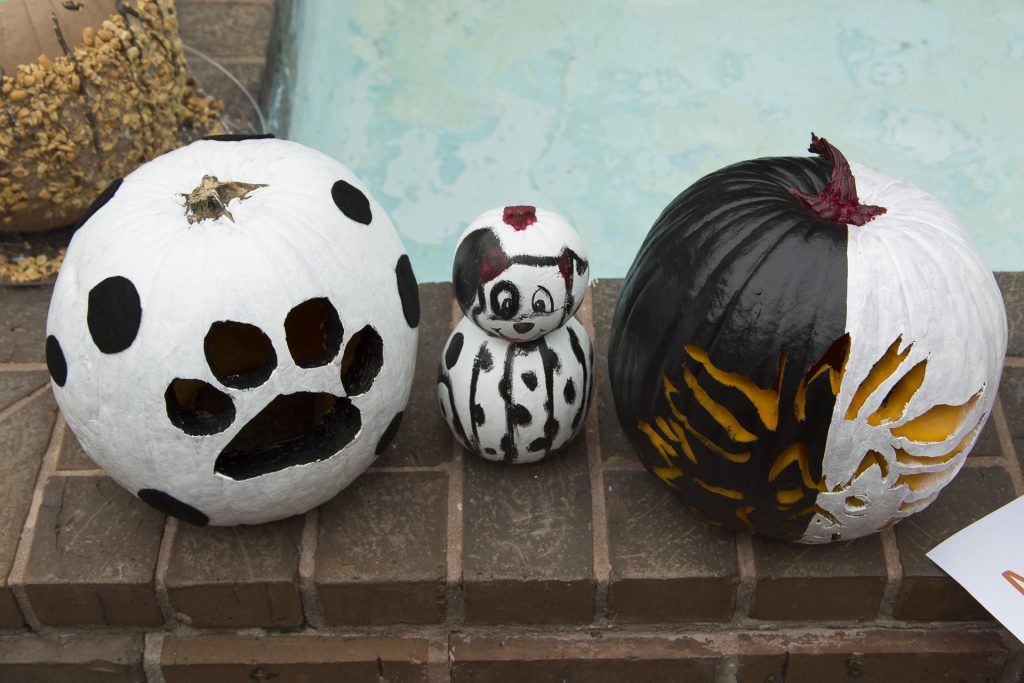 Creative pumpkin decorating ideas from the pelican family