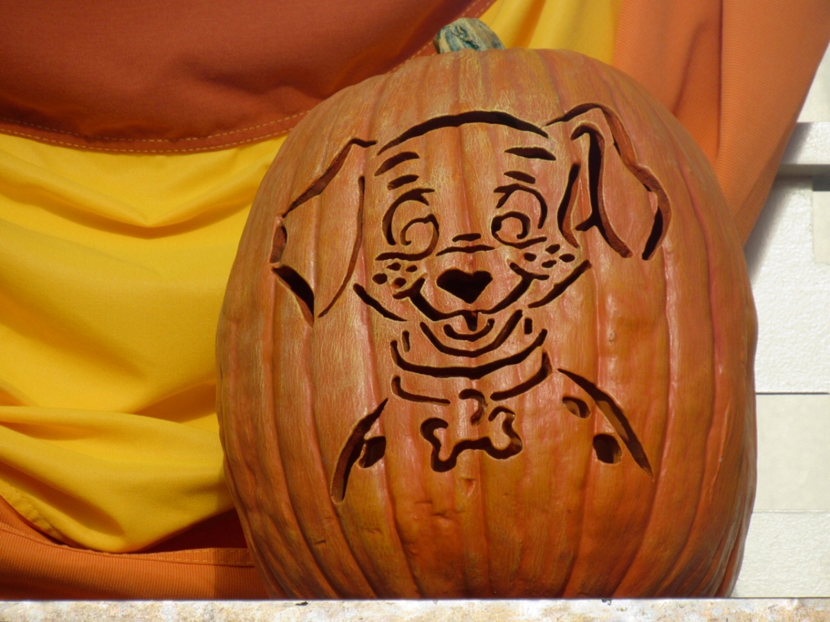 Magic kingdoms main street fire station celebrates halloween with a dalmatians pumpkin â ink and paint in the parks