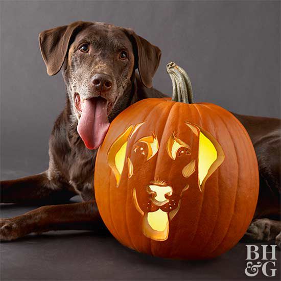 Free fun and easy dog pumpkin carving stencils