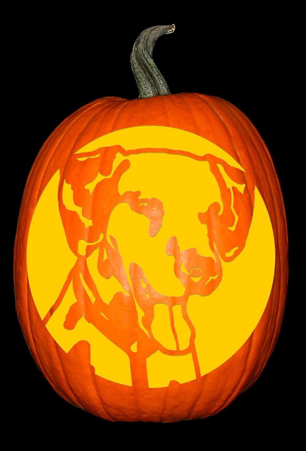 Custom dalmatian stencil halloween pumpkin stencils pumpkin carvings stencils pumpkin stencil