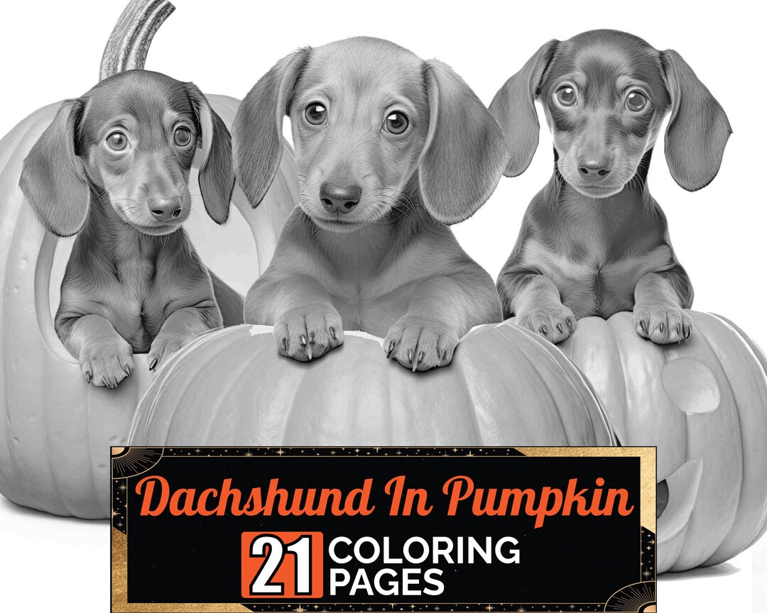 Dachshund carved pumpkin coloring book greyscale adult kids halloween colouring page a size sheet printable digital pdf download