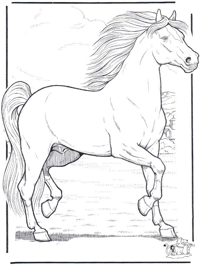 Horse