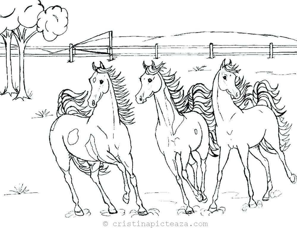 Horse coloring pages â drawing sheets with horses
