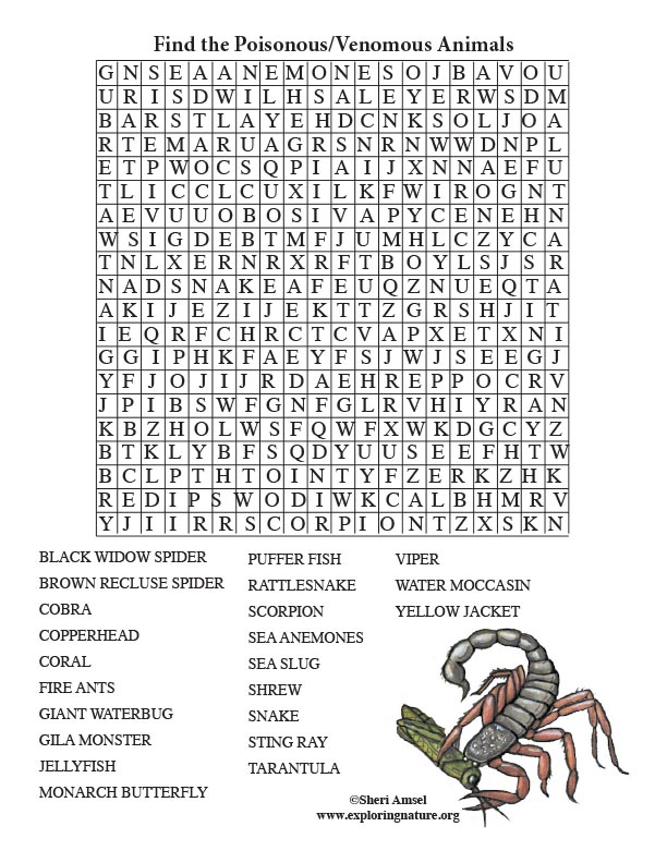 Poisonous venomous animals word search adults
