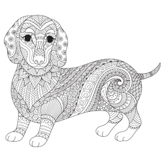 Animal coloring pages animals adult coloring book digital coloring pages printable pdf download instant download