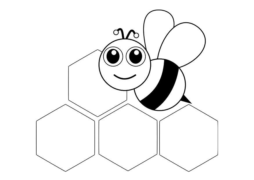 Coloring page bee