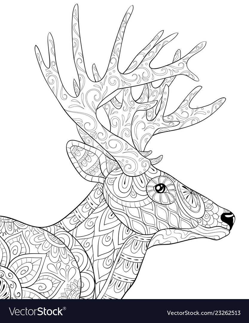Adult coloring bookpage a cute deer with big vector image
