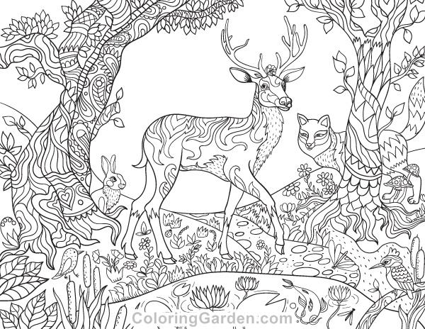 Free printable forest creatures adult coloring page the coloring pages includes treeâ deer coloring pages enchanted forest coloring book mandala coloring pages