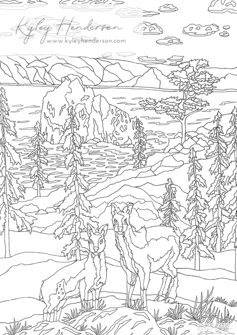 Musk deer adult coloring pages fanged deer coloring page digital download instant coloring sheets â kyley henderson art