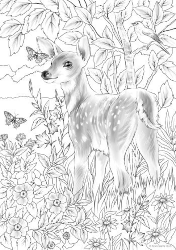 Baby deer printable adult coloring page from favoreads coloring book pages for adults and kids coloring sheets coloring designs
