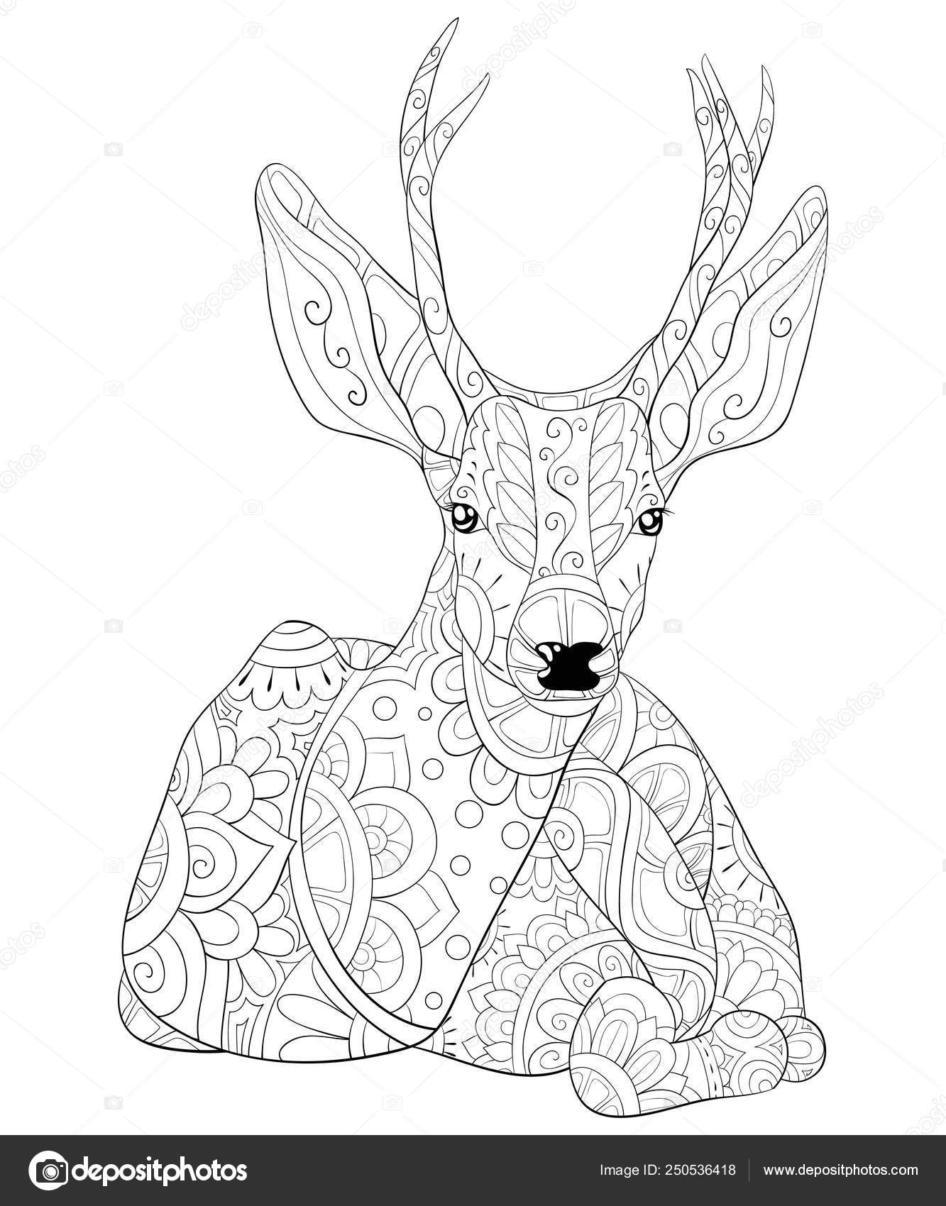 Adult coloring bookpage a cute deer with ornaments image for re stock vector by nonuzza