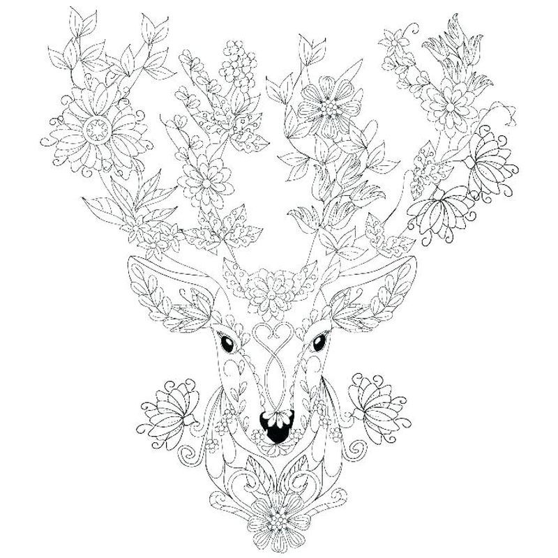 Printable deer coloring pages pdf download