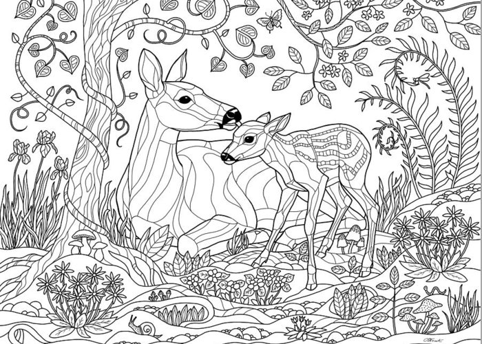 Deer fantasy forest coloring page greeting card by crista forest