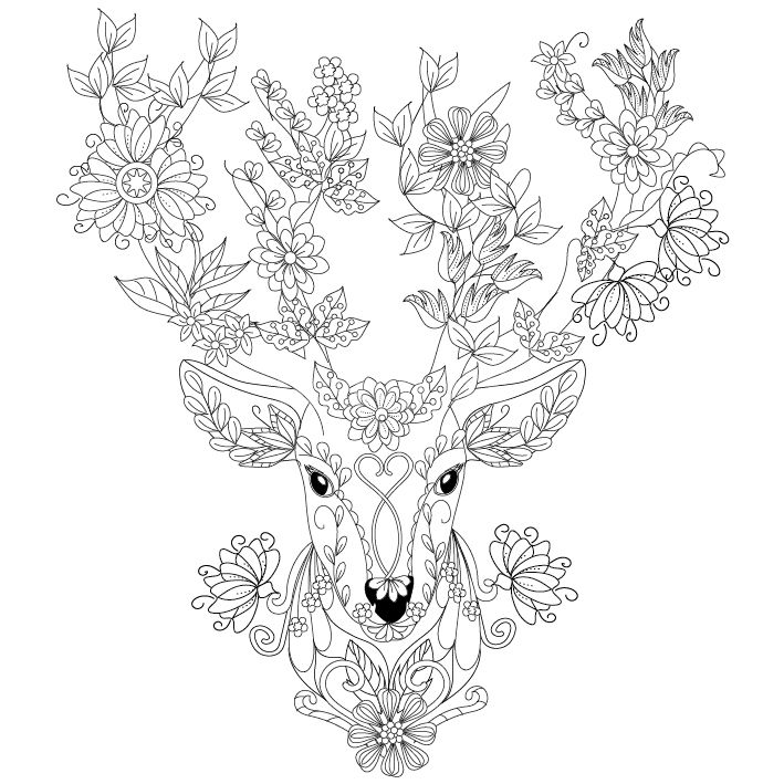 Deer coloring page design ms deer coloring pages coloring pages free adult coloring pages