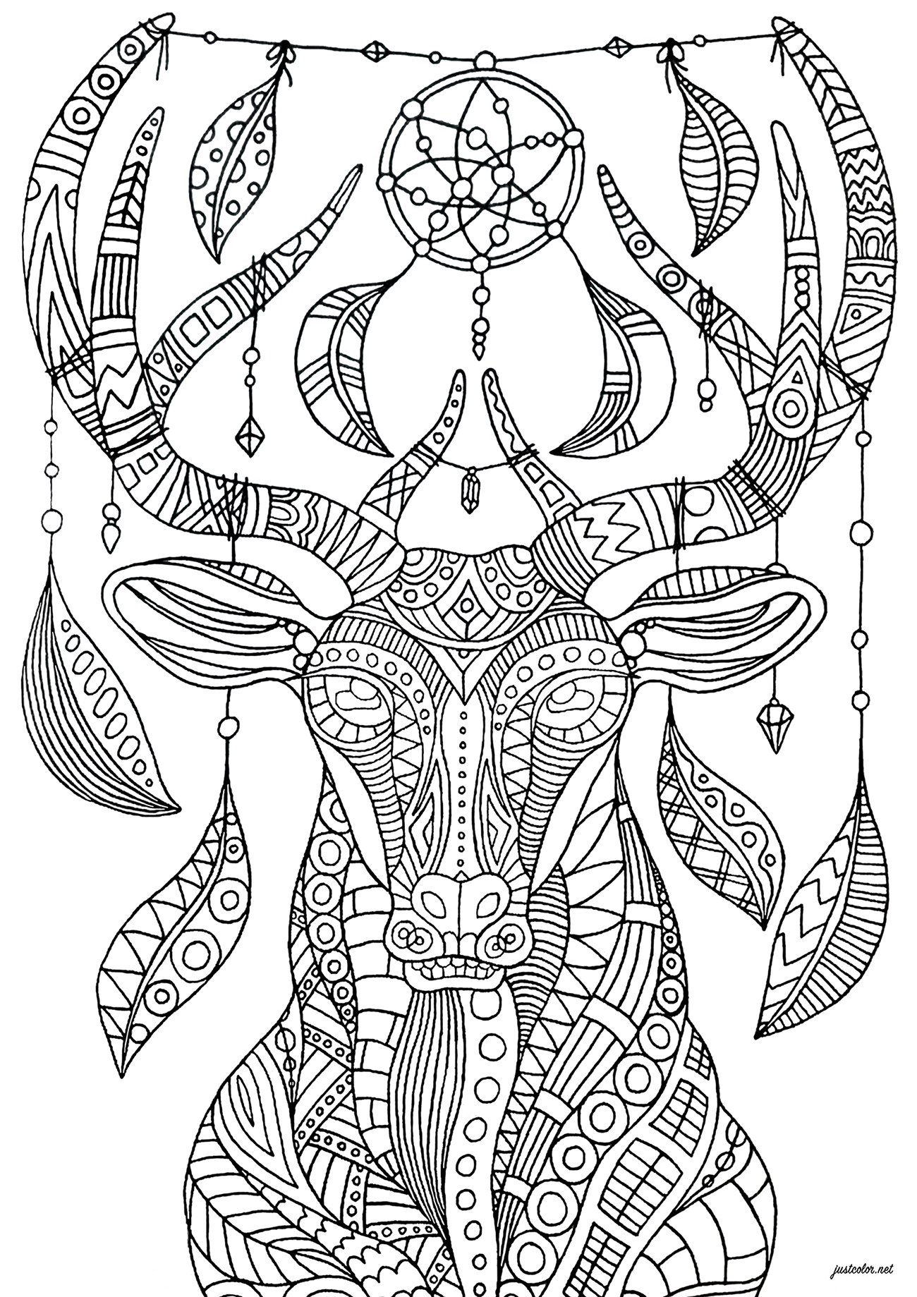 Dreamcatcher deer