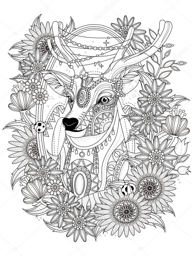 Gorgeous deer coloring page stock vector by kchungtw