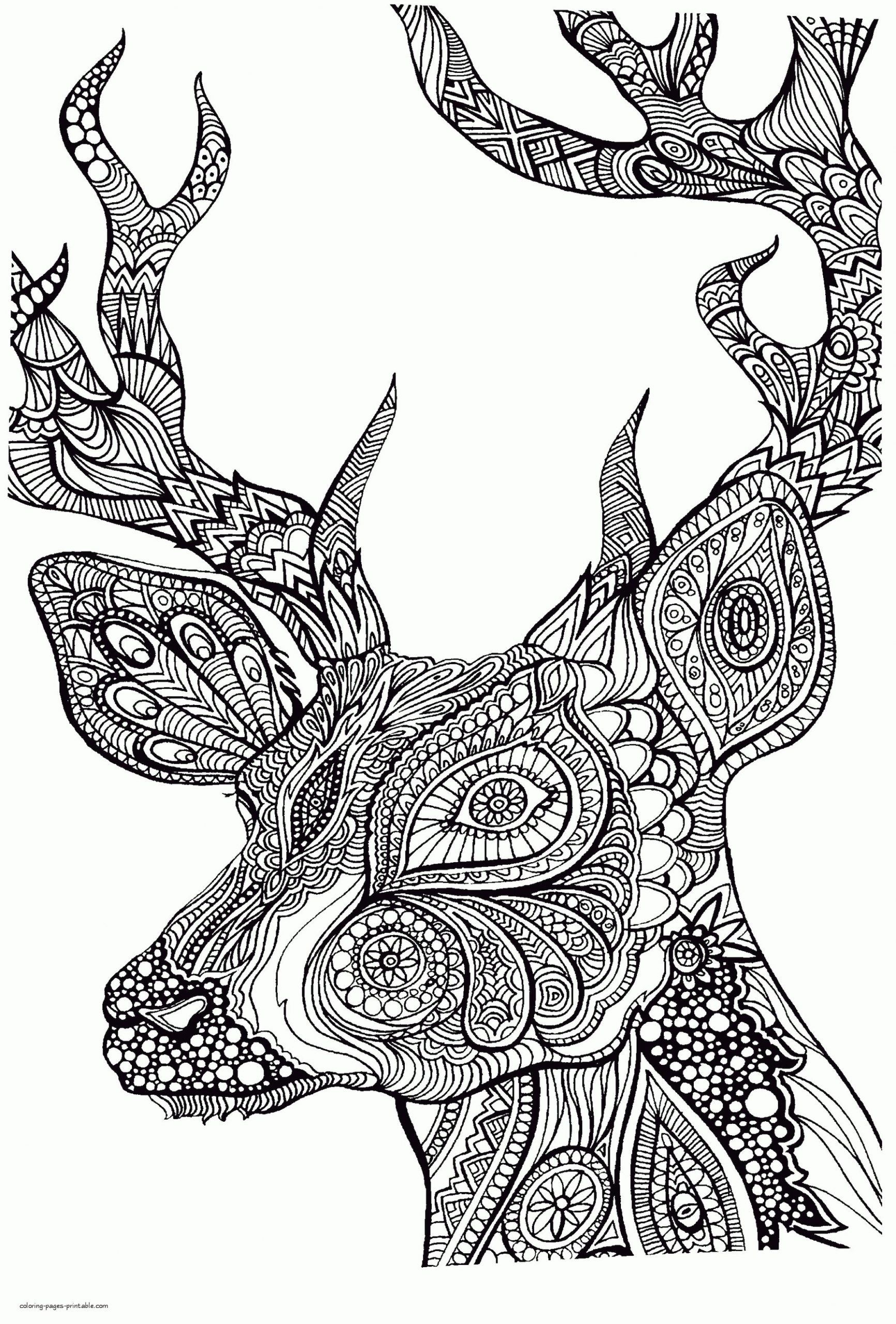 Get this adult coloring pages animals deer