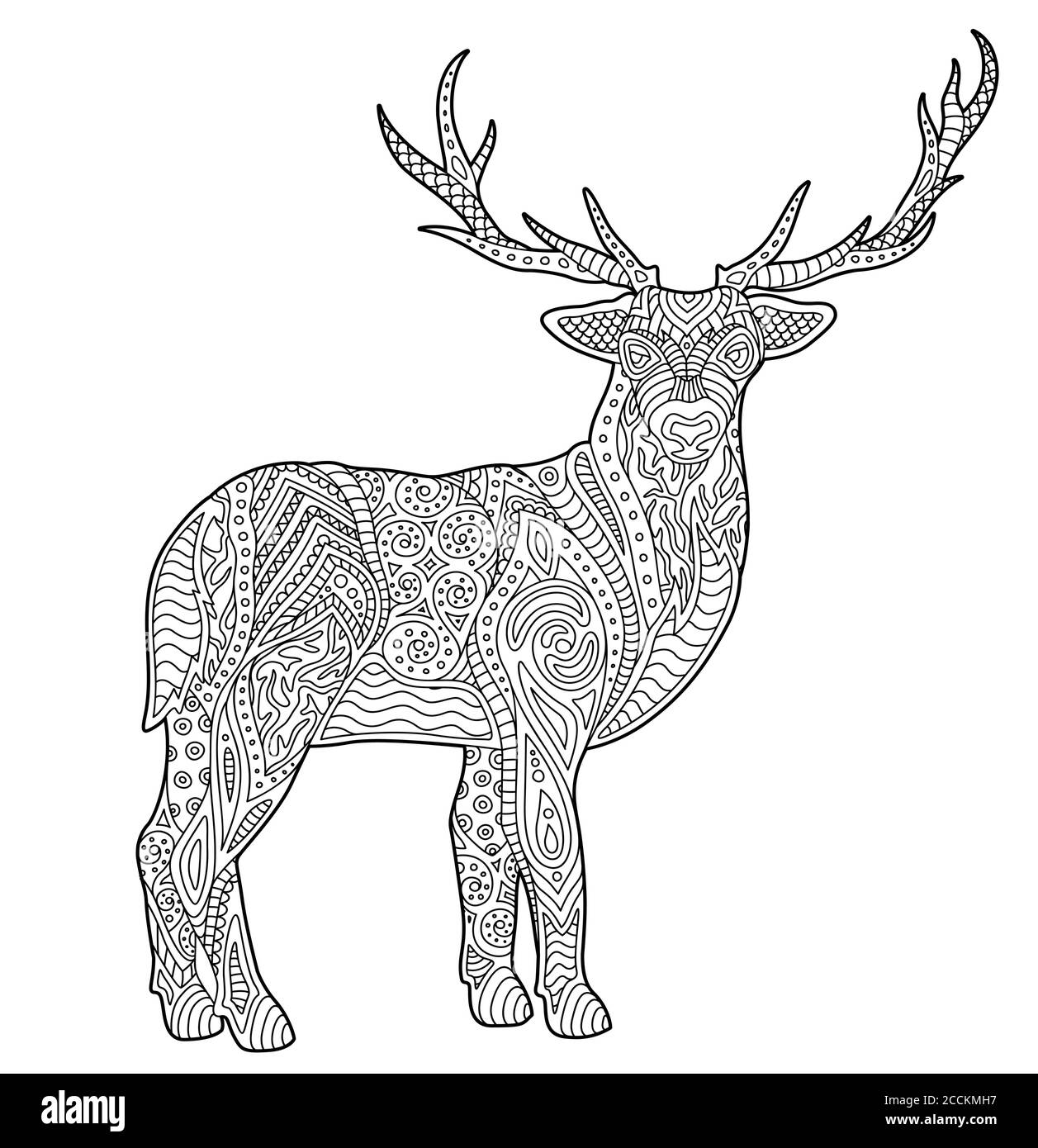 Beautiful adult coloring book page with stylized deer on white background stock vector image art