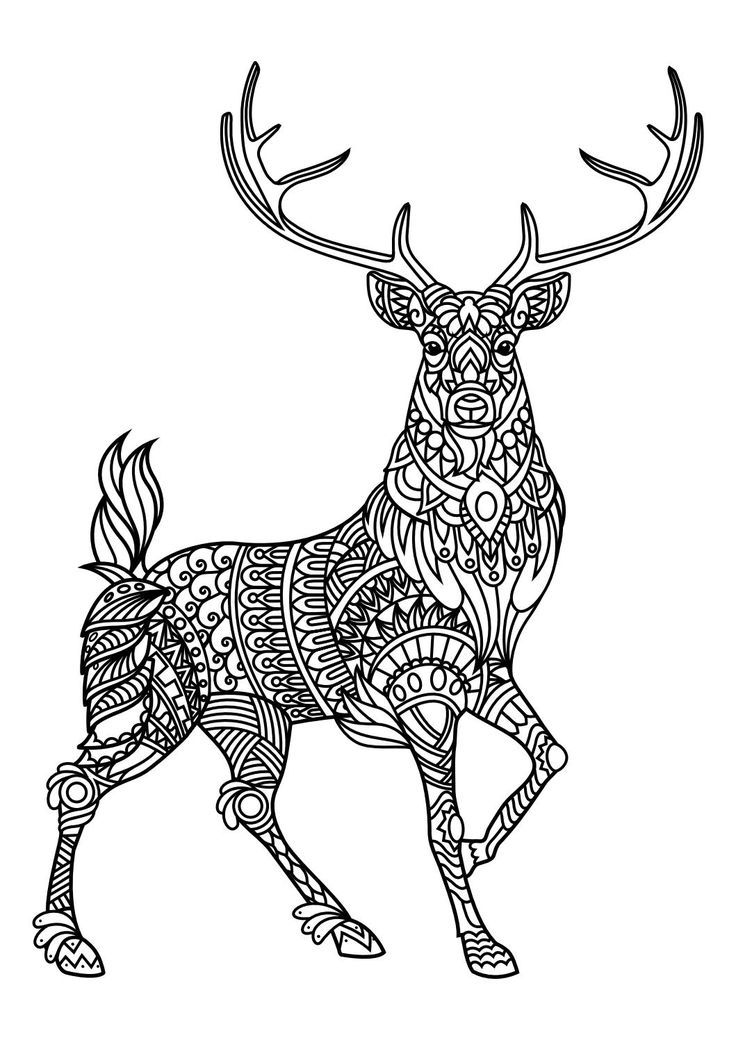 Animal coloring pages pdf deer coloring pages mandala coloring pages animal coloring books