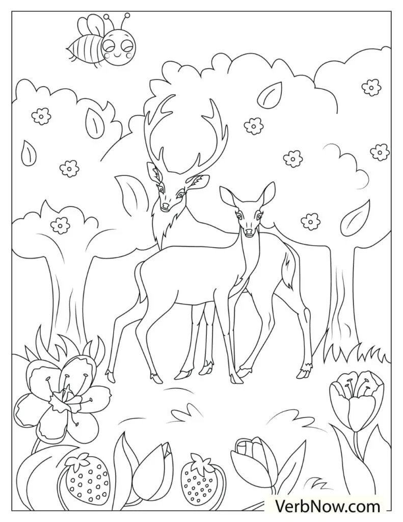 Free deer coloring pages for download printable pdf