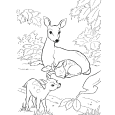 Top deer coloring pages for your little ones
