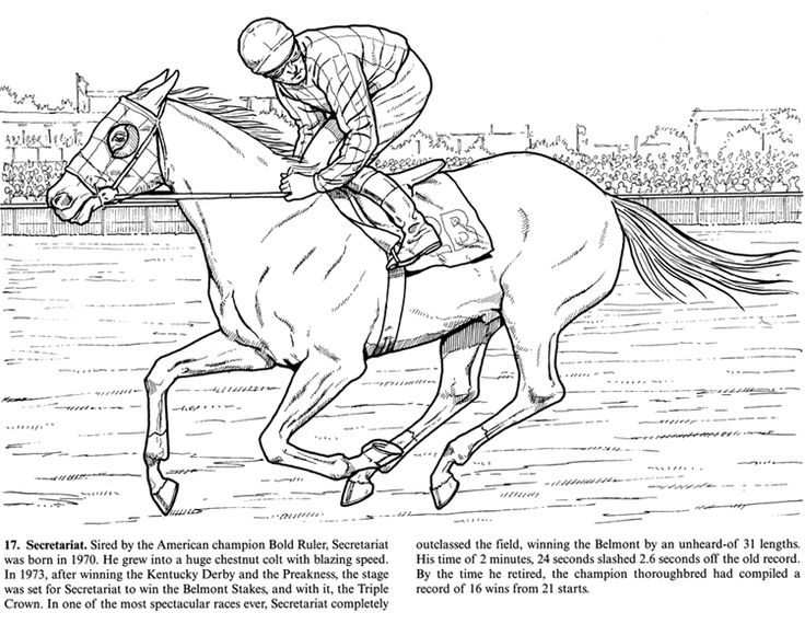 Horse coloring page of the great secretariat horse coloring pages horse coloring penguin coloring pages