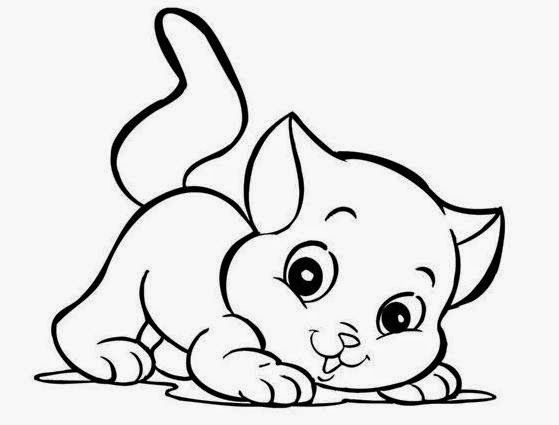 Pãginas de colorir animais animais para colorir desenhos de gatos