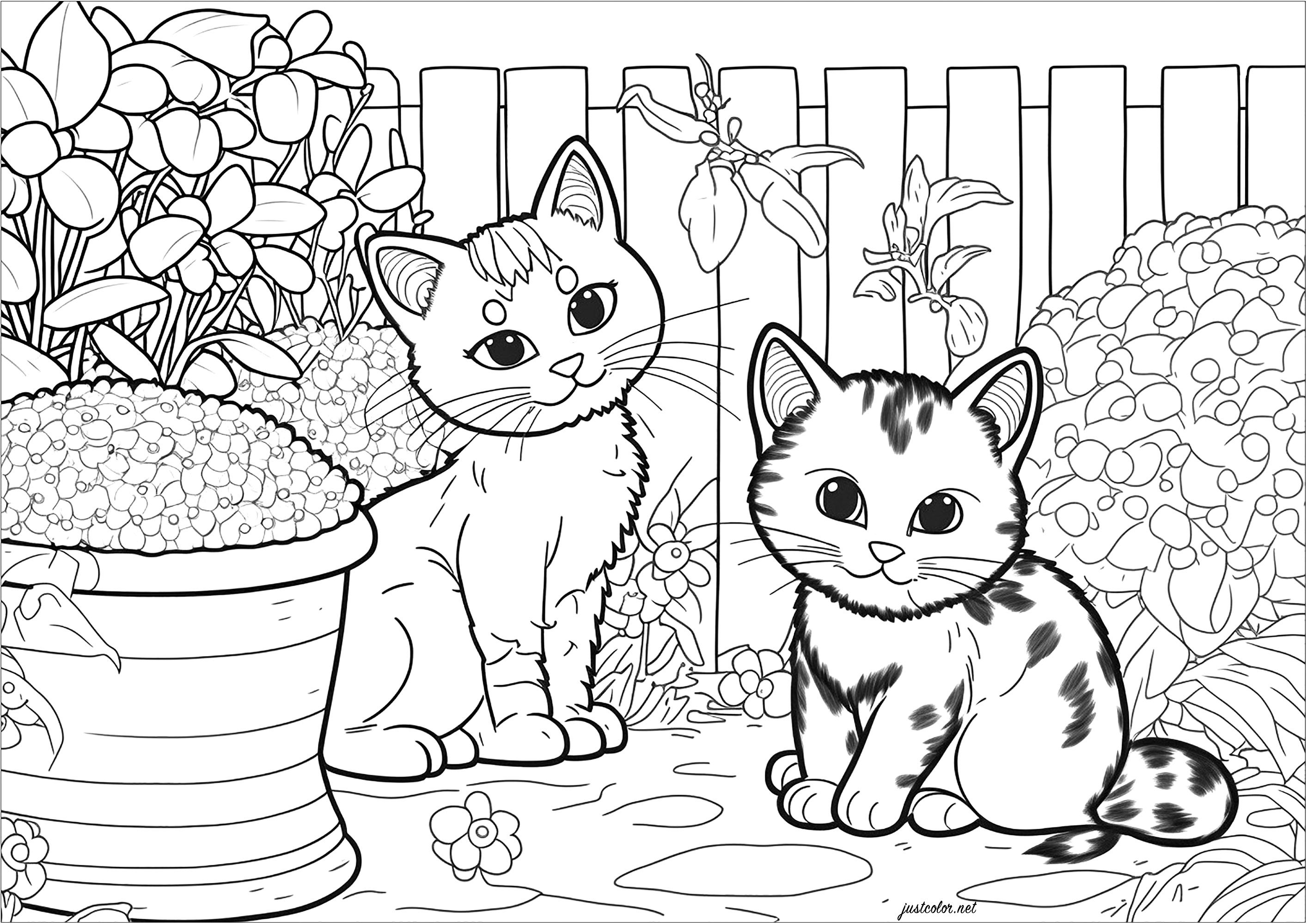 Dois pequenos gatos no jardim