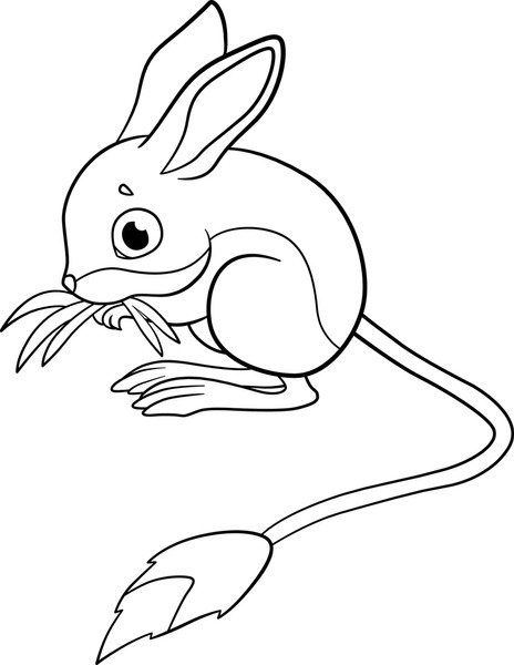 Desert coloring page royalty
