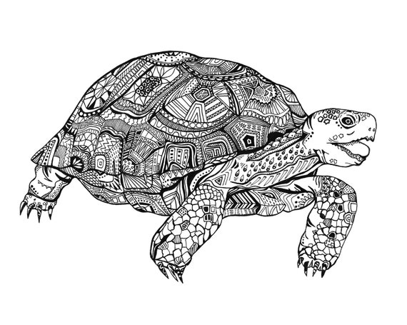 Desert tortoise x print desert animal series wildlife art intricate design