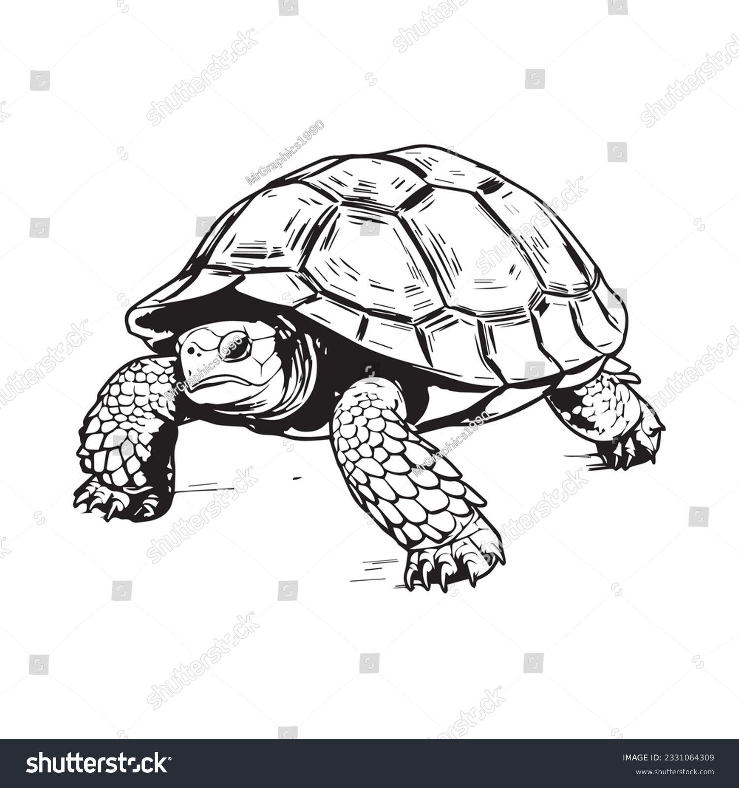 Coloring page simple black white turtle stock vector royalty free