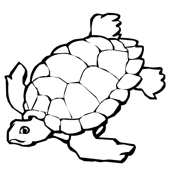 Desert tortoise coloring page