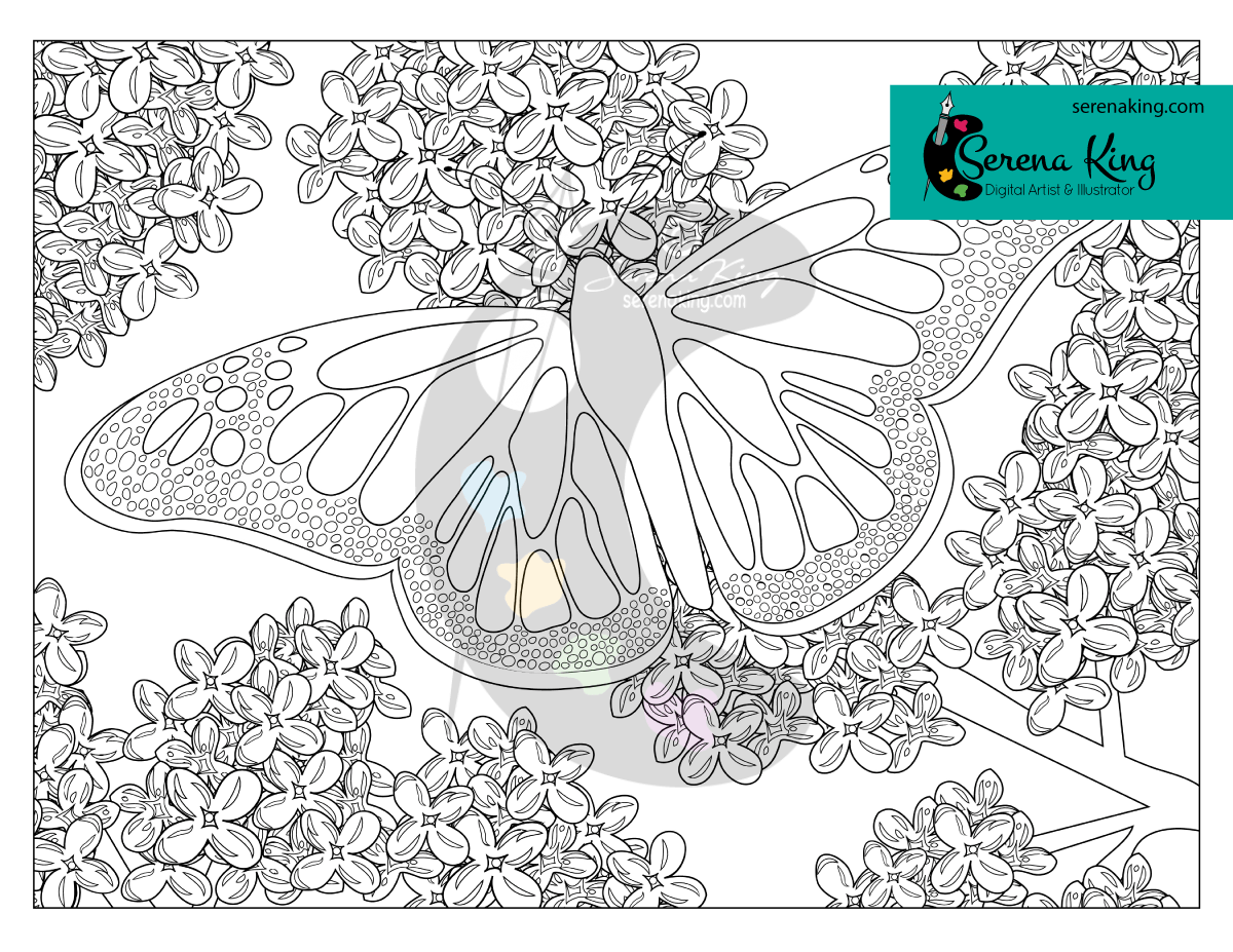 Butterfly coloring page â serena king