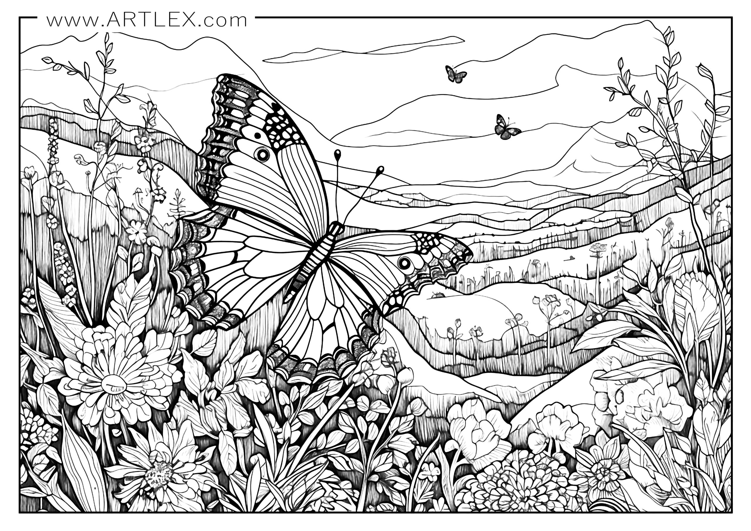 Best butterfly coloring pages free printable â