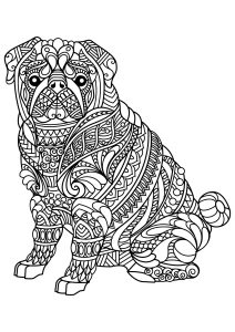 Dogs