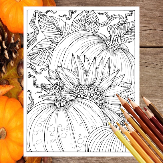 Pumpkins and sunflower digital coloring page fall adult coloring digi stamp thanksgiving download now