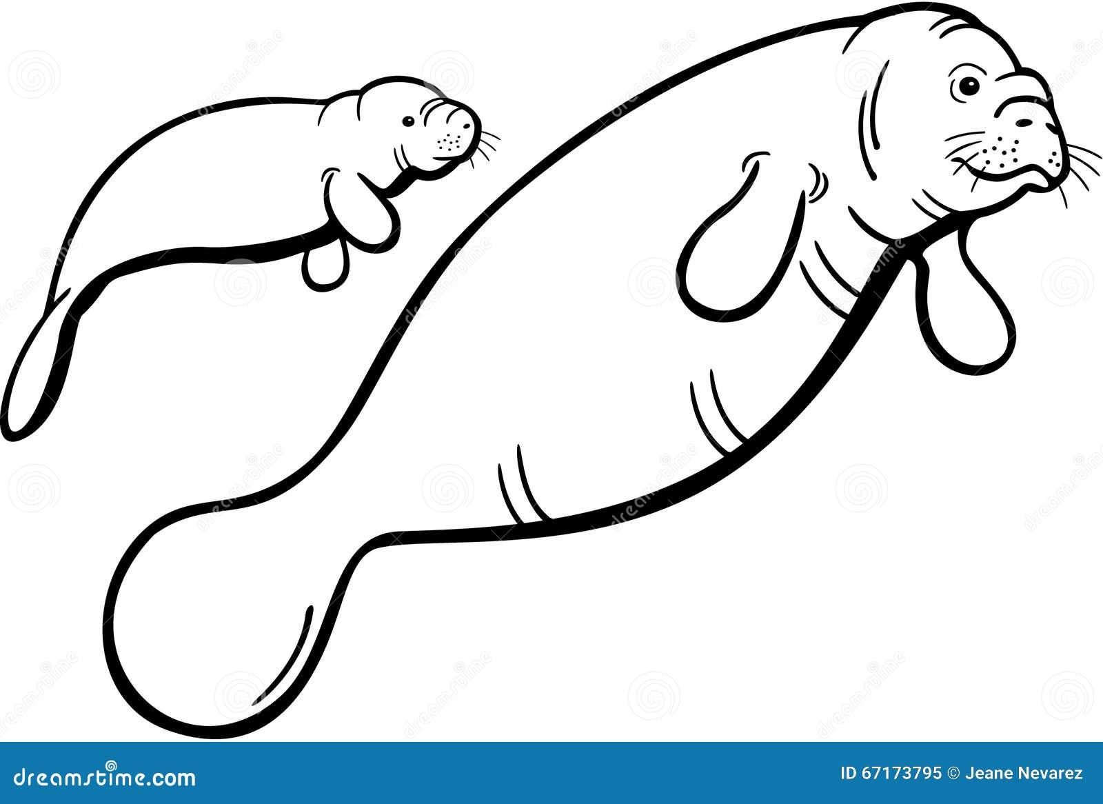 Manatee outline stock illustrations â manatee outline stock illustrations vectors clipart