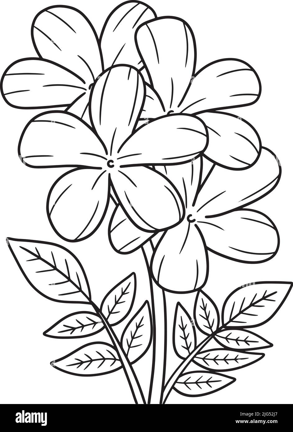 Pãgina para colorear la flor del jazmãn para los adultos imagen vector de stock