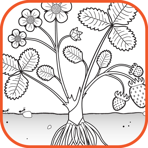 Cuidando plantas con chromville