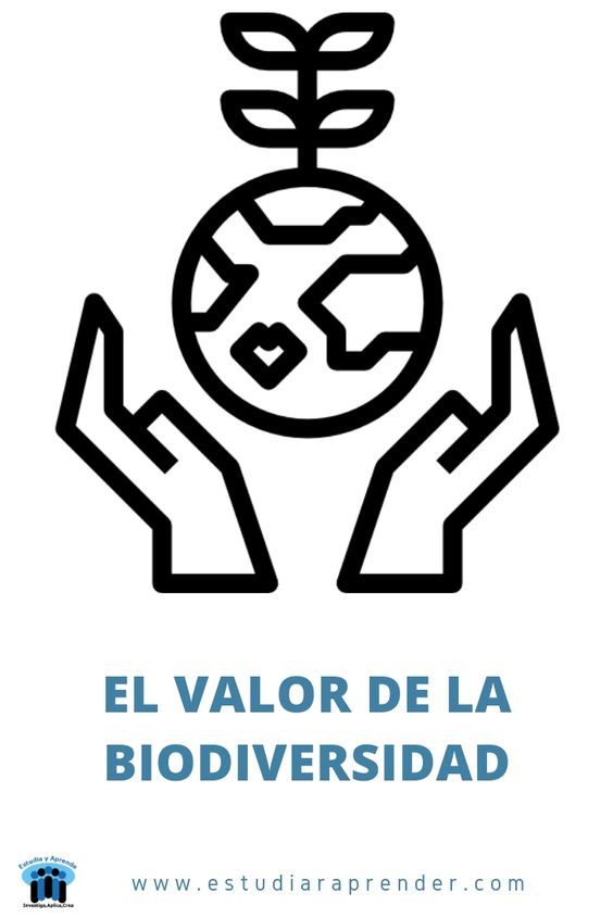 El valor de la biodiversidad tudia y aprende dibujos de biologia clase de biologãa la biodiversidad