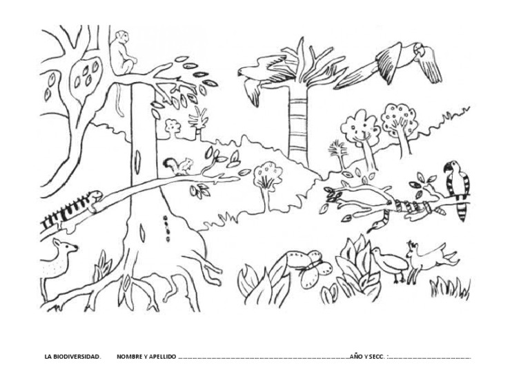 La biodiversidad dibujo pdf